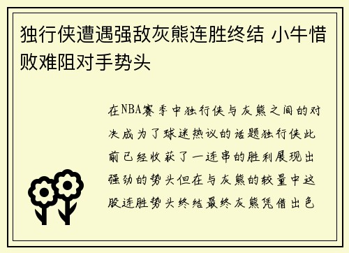 独行侠遭遇强敌灰熊连胜终结 小牛惜败难阻对手势头