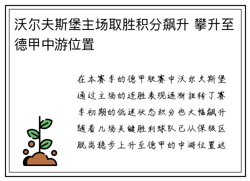 沃尔夫斯堡主场取胜积分飙升 攀升至德甲中游位置