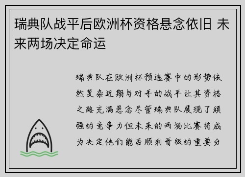 瑞典队战平后欧洲杯资格悬念依旧 未来两场决定命运